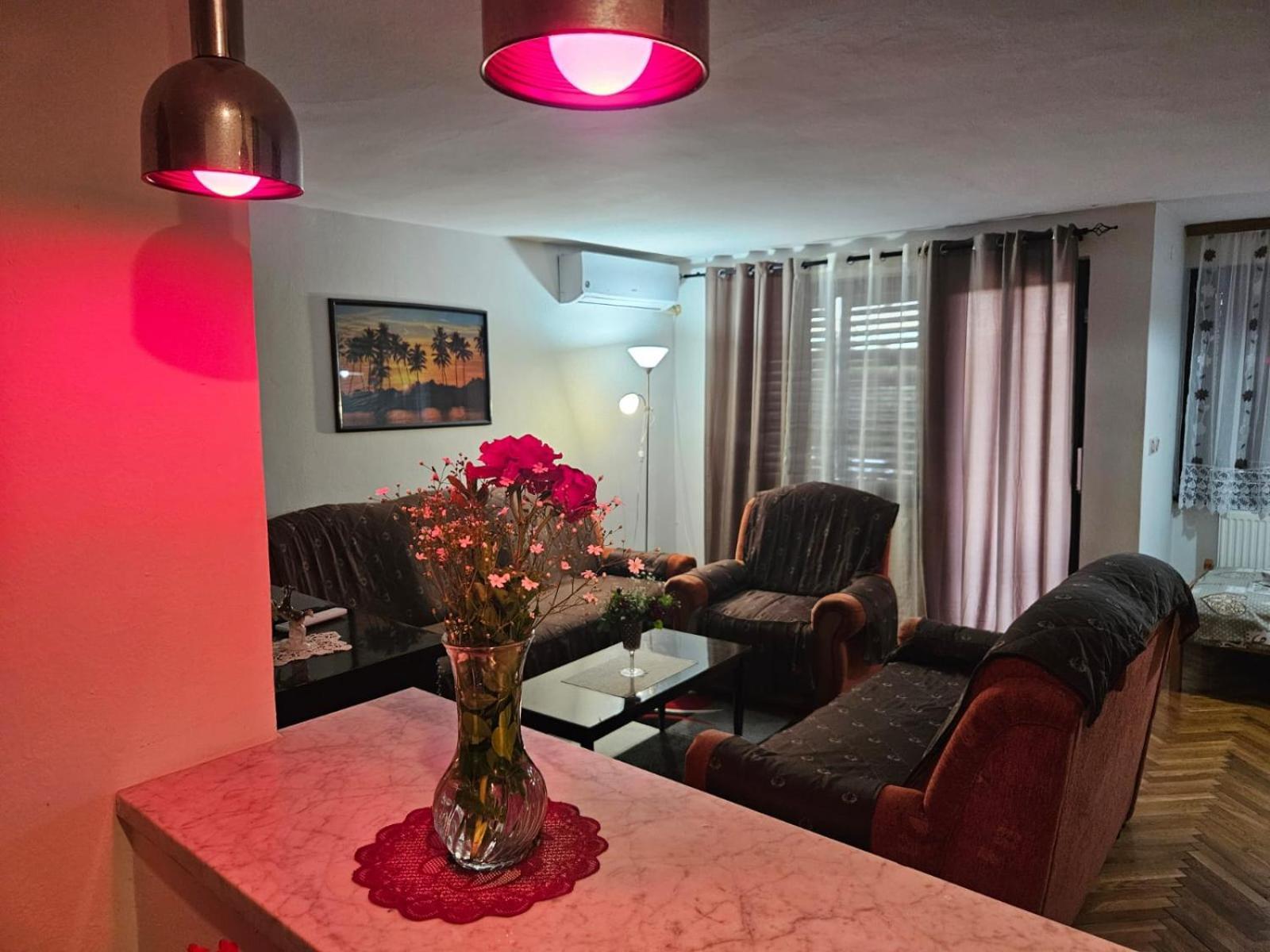 Apartmani, Sobe Ziza Bezdan エクステリア 写真