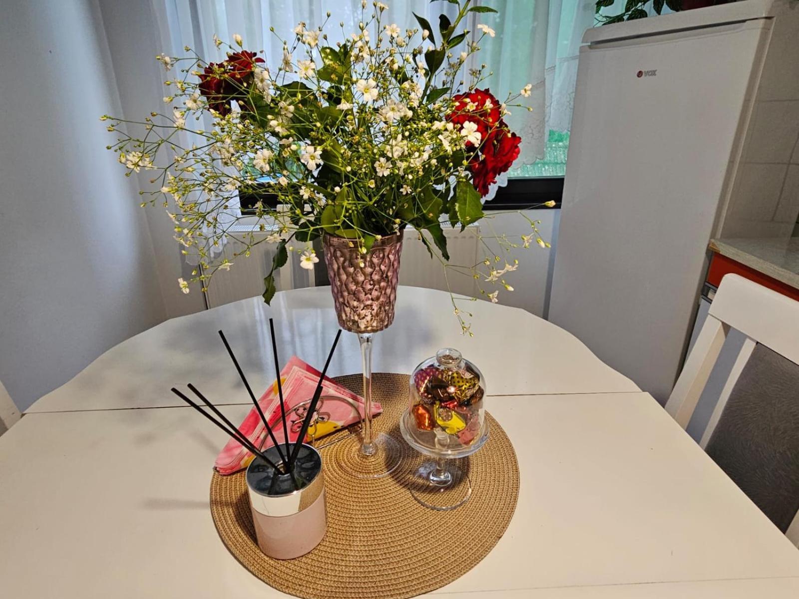 Apartmani, Sobe Ziza Bezdan エクステリア 写真